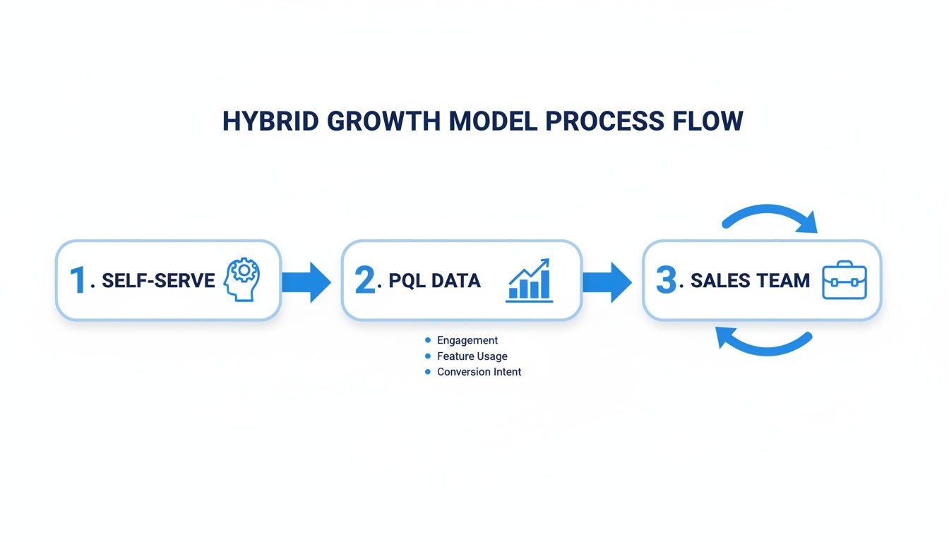 Process flow diagram illustrating a hybrid growth model from self-serve to PQL data and sales.